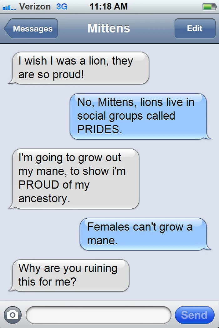 What If Cats Could Text? Woman Shares Conversations With Her 3 Rescued Cats