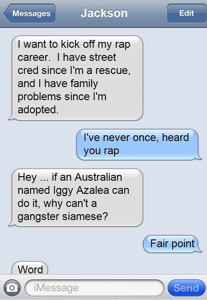 What If Cats Could Text? Woman Shares Conversations With Her 3 Rescued Cats