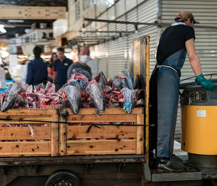 Tsukiji Market Before It Moves