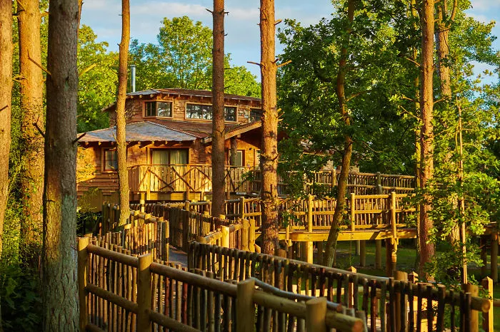 A Nationwide Search Has Been Launched To Find The Uk's Top Treehouse
