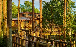 A Nationwide Search Has Been Launched To Find The Uk's Top Treehouse