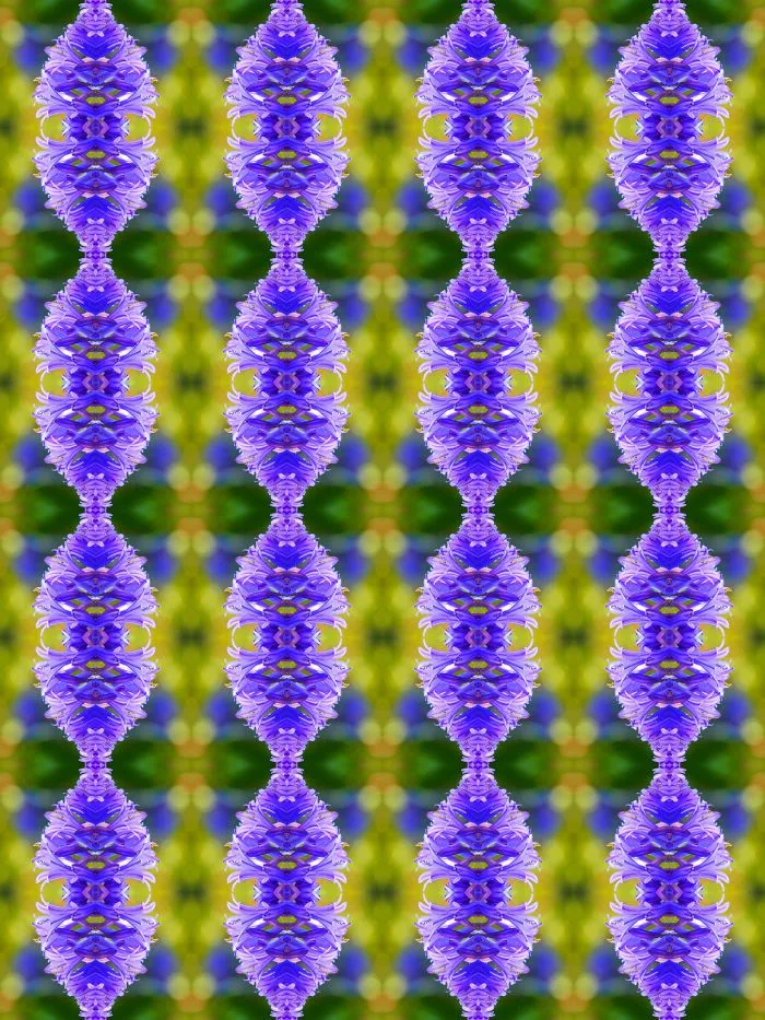Turning Macro Photographs Into Intricate Patterns