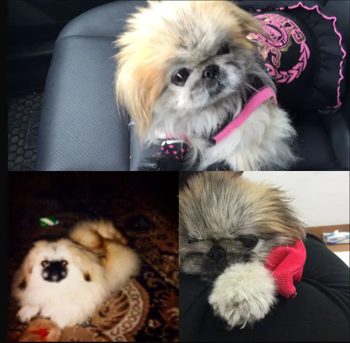 She Was My Best Friend. My Partner In Crime. Love You Lady. Always And Forever.