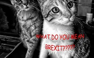 What Do You Mean Brexit????
