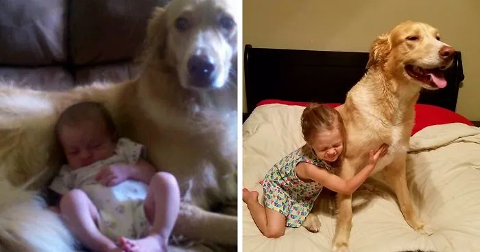 Abandoned Puppy Celebrates 3 Years Of Friendship With His Tiny Human Friend