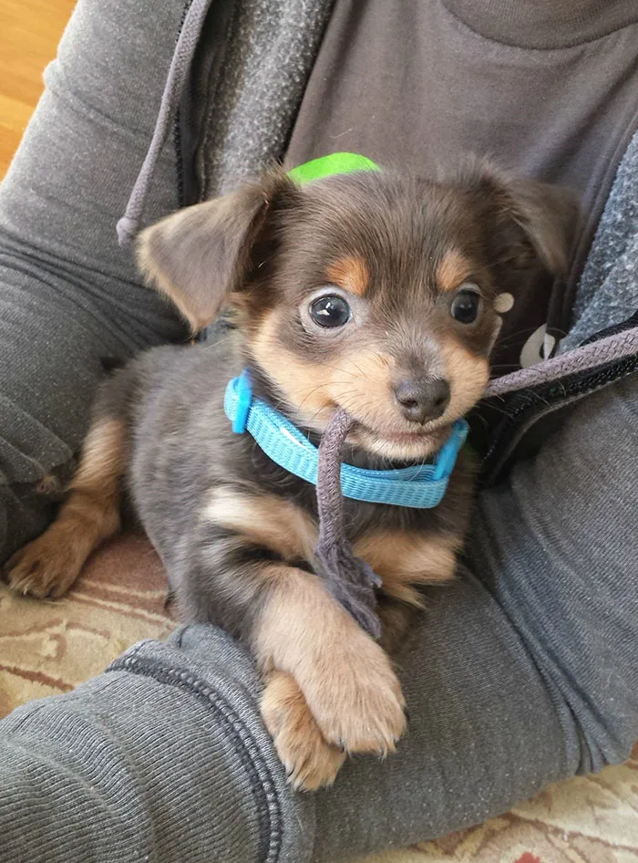 Charlie's First Day Home