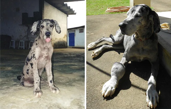 My Best Friend Is Now Gone After 10 Years Of Friendship. This Is Her First And Last Picture