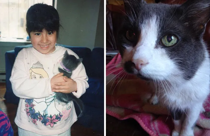 Goodbye, Figaro