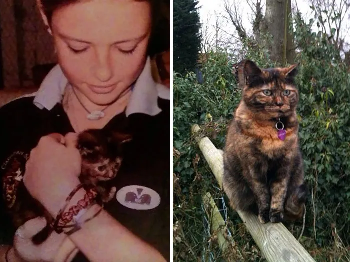 Our Beautiful Bossy Cassie Died Suddenly 3 Years Ago Today. We Still Miss Her. Here Are The Firt And Last Photos I Ever Took Of Her