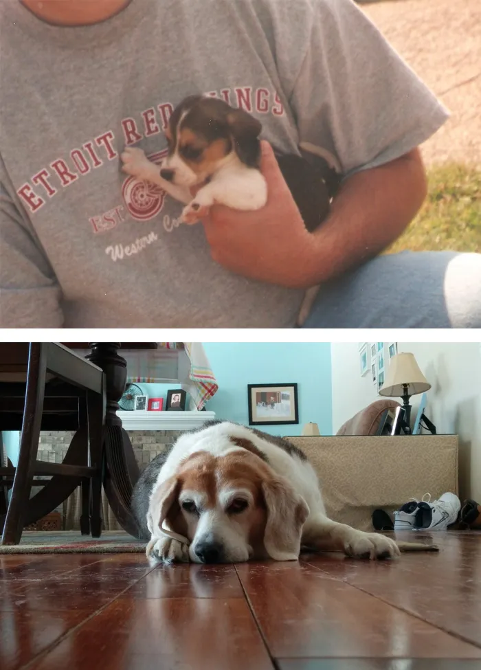 The First And Last Photos Of My Best Friend