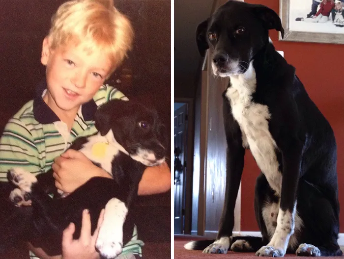 From The First "hi" To The Final "goodbye" The Best Dog I've Ever Had
