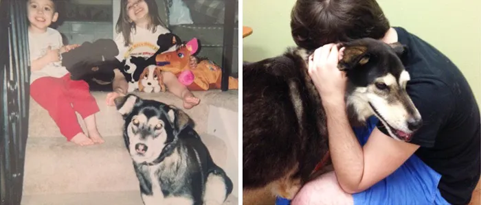 My Very First And Very Last Day With My Dog, Coco