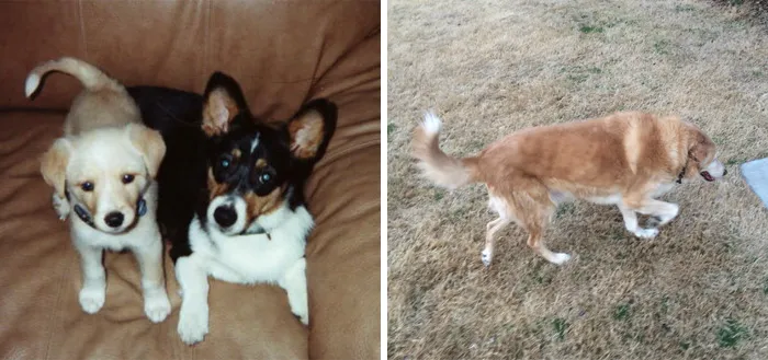 Indiana's First And Last Photos