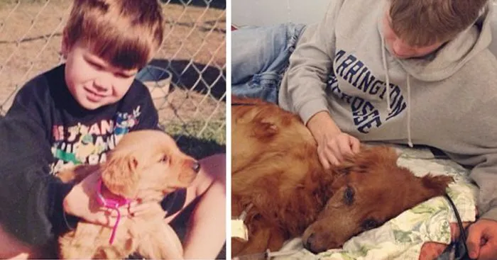 74 Heartbreaking First & Last Pics Of Pets That'll Make You Want To Hug Your Pet And Never Let Go