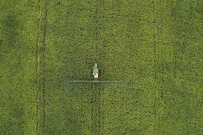 Abreulandia, Tocantins