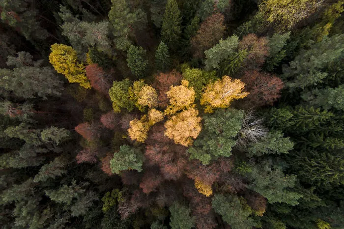 Rumsiskes, Lithuania