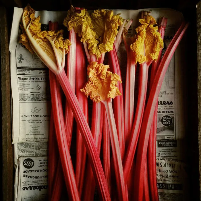 Andrew Montgomery From Hampton Wick, United Kingdom, 1st Place, Food