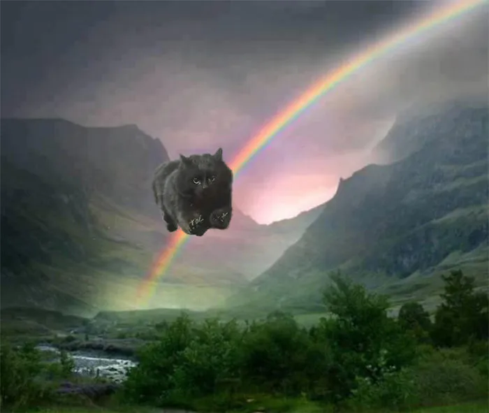 Over The Rainbow