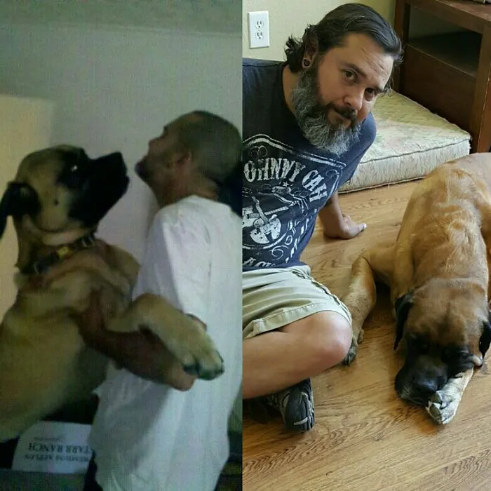 This Was My Best Friend Titan On One Of Our First Days Together And His Last Day. Love You ,bud