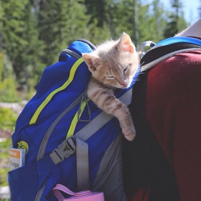 Hiking Is Exhausting