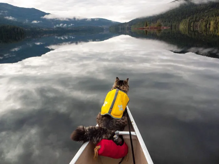 Keep Rowing, Human.  We Must Reach The Shore By Dusk