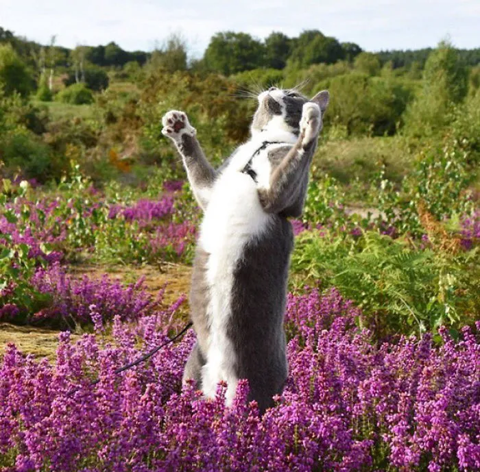 Ah, Freedom At Last