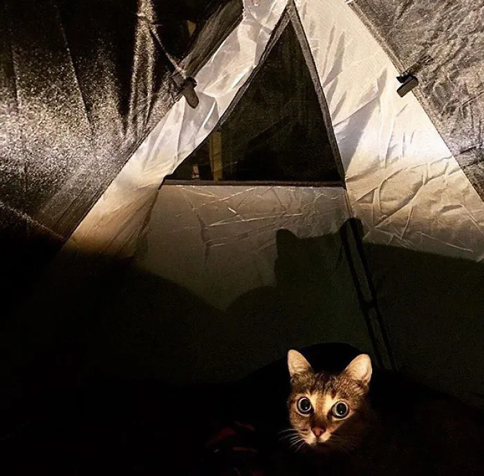 It Is 3 Am.  I Sing Songs Of My People.  Yet, There's No Applause