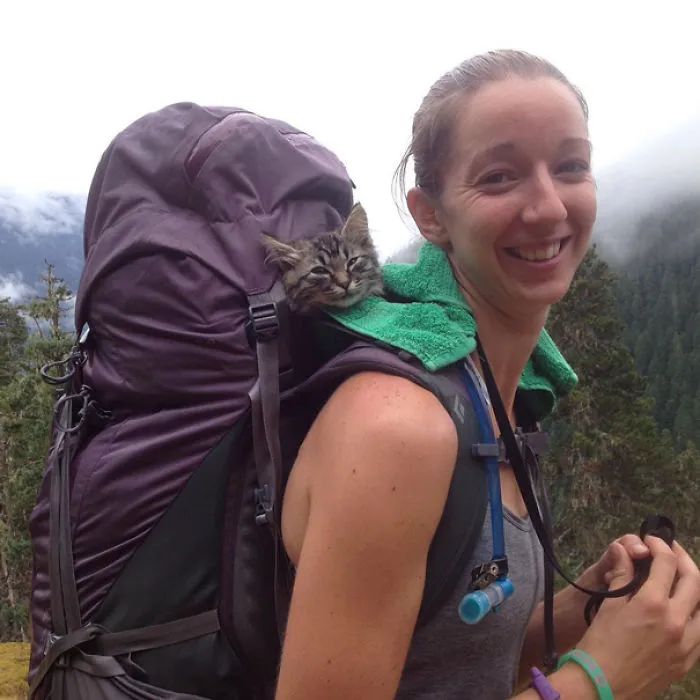 Backpacking Is Fun, They Say
