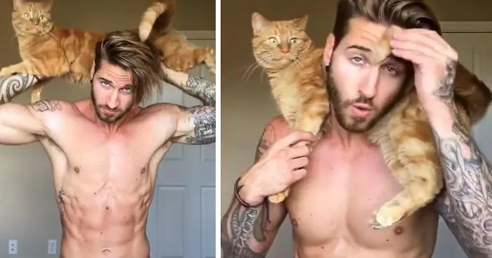 How To Get Purrfect Body Using Your Cat