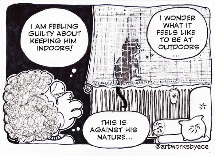 Why I Felt Guilty After I Adopted Cosmos (my Cat)