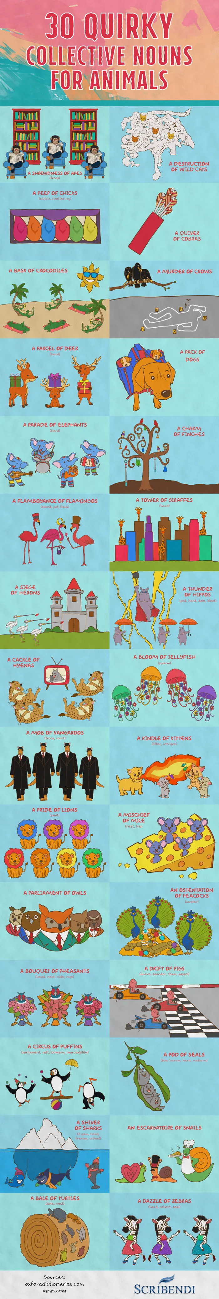 30 Quirky Collective Nouns For Animals