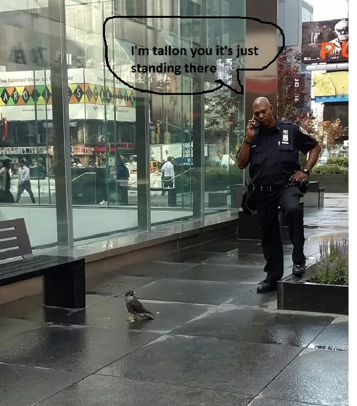 It's Just Standing There