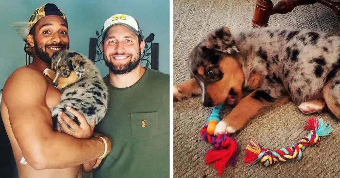 This Couple Couldn't Have Kids So They Got A Dog Instead