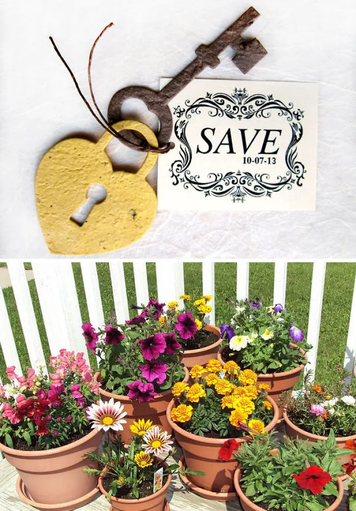 Paper Lock And Key With Plantable Flower Seeds Inside