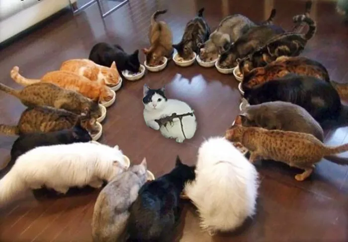 I WILL HAVE ORDER!!!