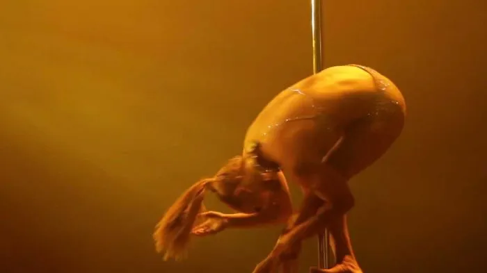 This Incredible Pole Dancer Will Blow Your Socks Off