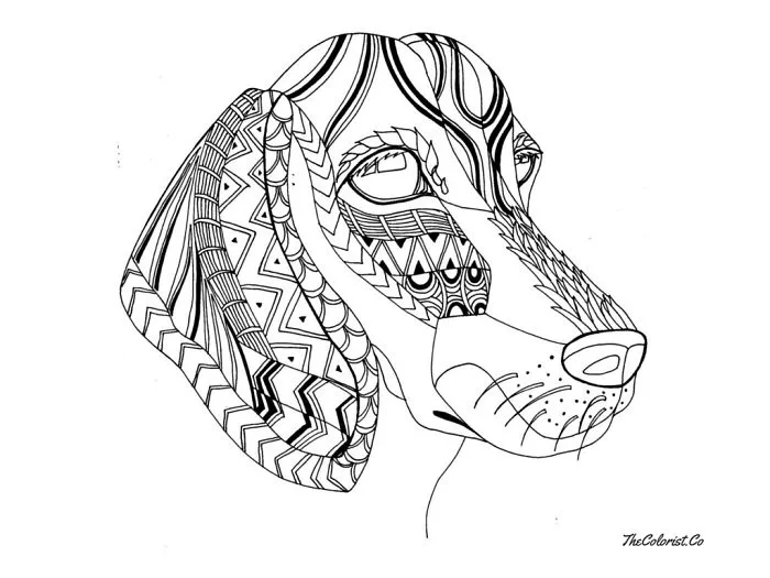 I Create Intricate Line Drawings Of Dogs