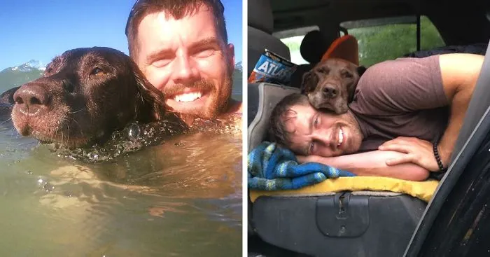 After His Dog Was Diagnosed With Cancer, The Owner Took Him On A Final Epic Road Trip