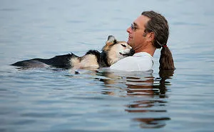 51 Images That'll Restore Your Faith In Humanity