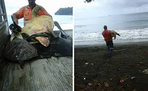 51 Images That'll Restore Your Faith In Humanity