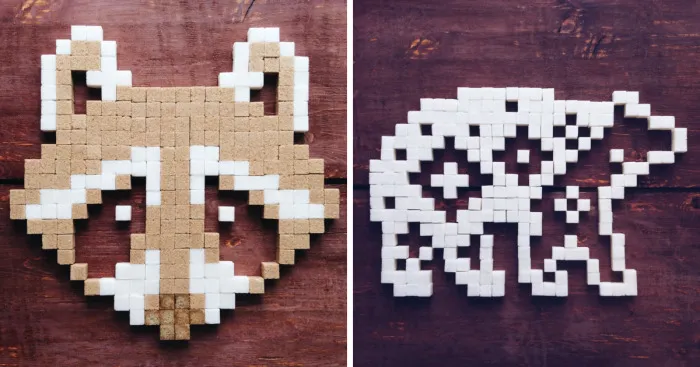 I Made These Animals Out Of Sugar