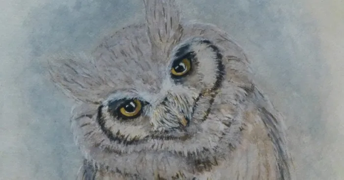 I Painted An Original Watercolour Painting Of A Scops Owl