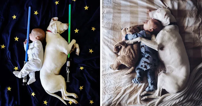 Our Rescue Puppy Is The Best Sleeping Buddy To Our 8-Month-Old Son