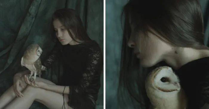 Metamorphosis - Expressing The Confused Feelings And Emotions