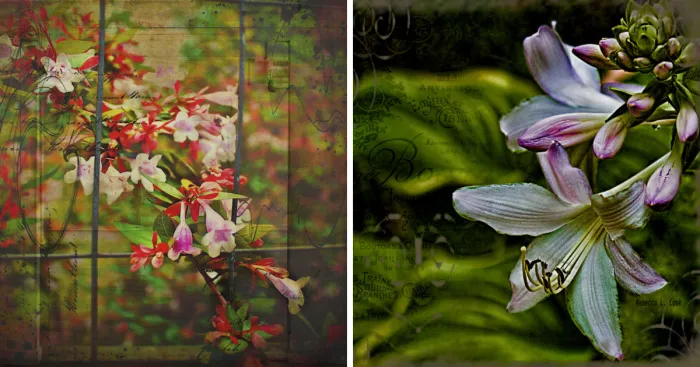 I Uncover Hidden Art From Ordinary Flowers