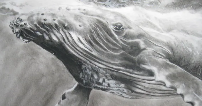 A Little Bit Of Charcoal And A Lot Of Love Lead To These Paintings