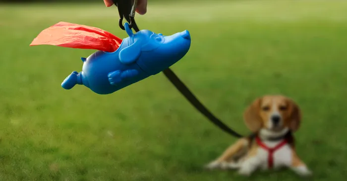 Mighty Dog, A Superhero To Keep The Streets Clean