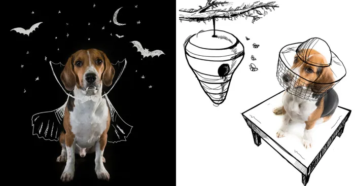 Remember Juno? Take A Look At His Adventures