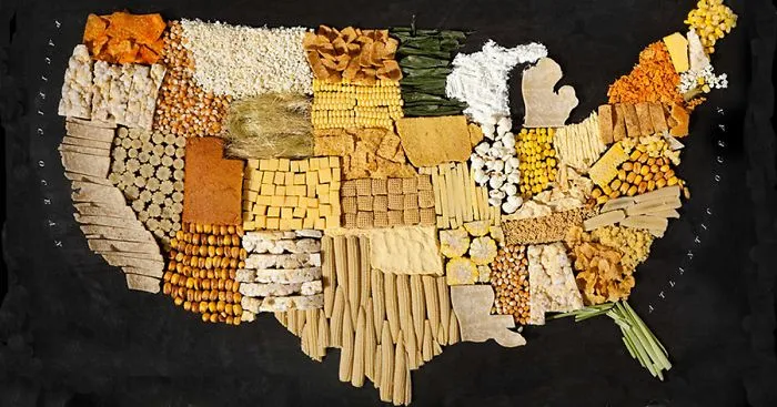 We Turned Iconic Food Of Different Countries And Continents Into Physical Maps
