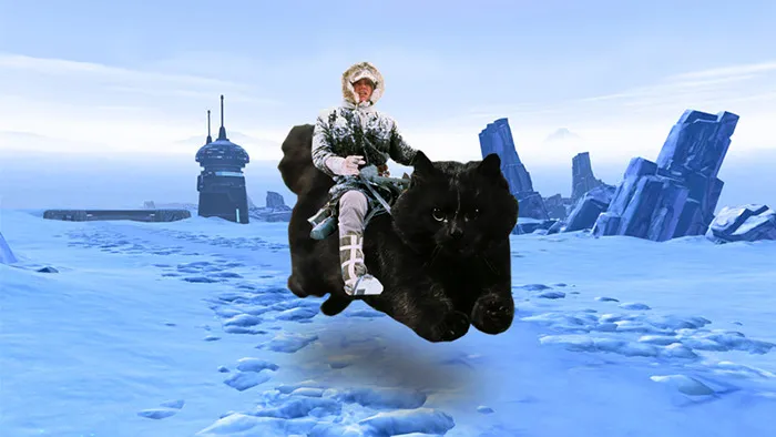 Searching For Luke